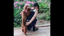 自从养了狗狗，小主人是这样宠溺狗子的，这一幕我都吃醋了
