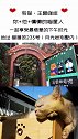 克服了单身狗一万个怨念后，深夜含泪整理下来的攻略