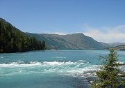 英国湖岸出现神秘水怪尸体，疑似上古时代的遗留物，掀起轩然大波