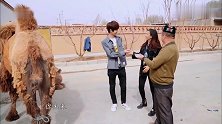 王一博宋祖儿喝骆驼奶，宋祖儿全身都在抗拒，太搞笑了！