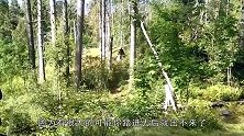 去俄罗斯旅游要注意什么？看到小木屋别靠近，否则将有去无回！