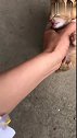 猫：这是我的孩子，才不给你玩儿！