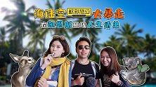 凯恩斯海陆空多玩法！一次旅行都搞定，还能挑战人生清单