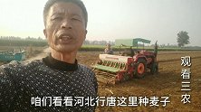 河北行唐秋收季节，种小麦20元一亩，贵不贵？