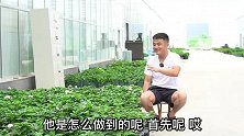 从喜欢养花到热爱养花，再到放弃养花。很多花友只需要三天。