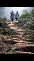 19岁小伙带29岁寡妇私奔，隐居深山50年，凿6208级天梯三月三玩出新花young  广西文化和旅游厅