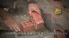 尿液能用来盖房子了！外国人用尿液做砖块，生产过程零污染
