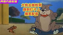《猫和老鼠》搞笑方言配音：大狗去做检查，刚出门就踩到钉子了