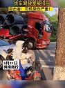 河南商丘：刹车导致货物前冲，货车驾驶室被挤压