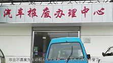 小树林里“豪车遍地”，车辆崭新落满灰没人动，网友：你敢去开？