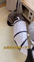 我这玩笑好像开的太大了…呸式vlog 猫咪的迷惑行为