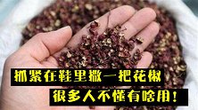 抓紧在鞋里撒一把花椒，很多人不懂有啥用，不是迷信，早知早受益