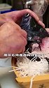 日本最奇怪的鱼,嘴巴能伸出10厘米