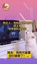 1岁狗狗看动画片，学狼叫惟妙惟肖，网友：这是要回归狼群了啊