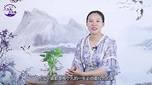 悬崖上的悬棺到底怎么放上去的？景区悬赏30万求解，至今无解
