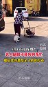老人腿脚不便狗狗帮助其行走 犹如亲人般的错在