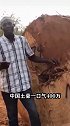 中国土豪到非洲，400万买百吨垃圾木被黑人嘲笑？