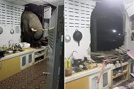 泰国：野象半夜撞破居民家墙壁找食物，结果吃了一个塑料袋