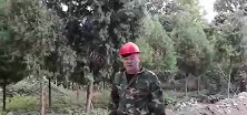 女经理拖欠工人工钱，董事长假扮农民工试探遭威胁，结局大快人心