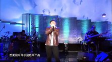 赵传现场一首永不过时的经典《我是一只小小鸟》唱出多少无奈