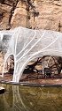 高黎贡山下的这家民宿，有一头大熊出没