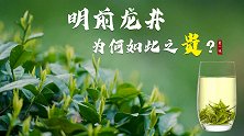 明前龙井，为何贵如金？