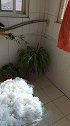 洗这玩意，洗了三个小时，真后悔早知道不洗了，还晒不干了