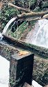 绿野仙踪三股水，丽江最美的地方。#丽江