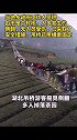 湖北一网红吊桥侧翻多人掉落茶园 乡政府：无人员受伤 桥体已用绳索固定 吊桥 no作nodie