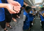 贵州某建材城员工被罚生吃泥鳅 ？ 当事人：都是店主自愿吃的