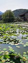去芙蓉镇吃饭我挑了这家饭店点赞的朋友都可以来哦！我请客！