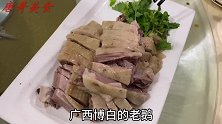 玉林博白吃白切大鹅，白果猪肚煲，喝高度白酒过瘾！