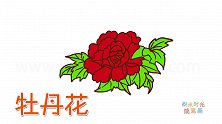 植物简笔画大全，画红色牡丹花简笔画
