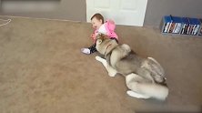 当狗狗自己玩嗨时，别忘了孩子，太不贴心了！