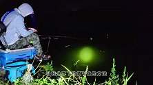 使用土办法钓黄辣丁（黄颡鱼），不吹不黑每次都连竿不断