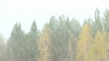 黑龙江漠河：“我这里下雪了，比2018年提前25天！你呢？”