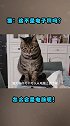 猫：这不是电子秤吗？怎么回事电脑呢！