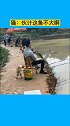 光明正大偷鱼的猫咪，猫咪：哥们，这鱼有点小啊！