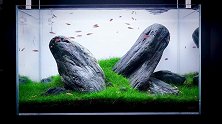 简约风格鱼缸造景，从布局都搭配都非常协调，看起来容易上手难