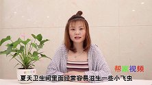 家里这种小飞虫，比蚊子还讨厌，教你绝招，几分钟就能全消灭