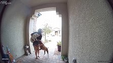 美国一名女子抱着自己的狗躲避比特犬攻击 快递员出手相救