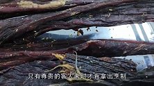 雪域牦牛肉，嚼劲十足，香气诱人，有暖胃作用，为寒冬补益佳品