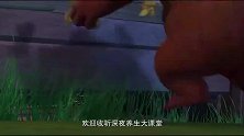 光头强在干嘛，老胳膊老腿的，是在做广播体操吗