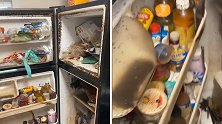 美国一户人家冰箱里太肮脏恶心 专业保洁员都拒绝打扫