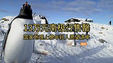 不给未来留遗憾？国家地理南极行爆火，上榜年轻人愿望清单！