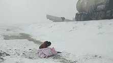 一家四口被撞父子重伤，妈妈坐地痛哭……危急关头还好有他们！