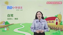 小学语文白鹭
