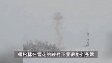 南方还在艳阳高照，大兴安岭迎来今秋第一场雪！较去年提前十余天
