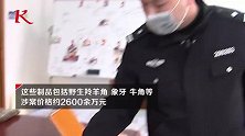 象牙穿山甲摆满地涉案金额2600万！民警跨10省侦破交易案