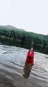 清晨湖里游泳，出水芙蓉是这样的吗